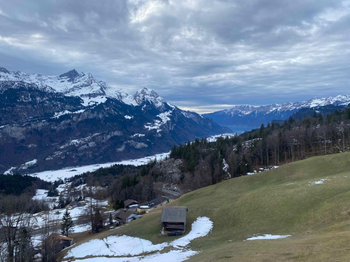 Spring Inn Apartments Meiringen Esterno foto