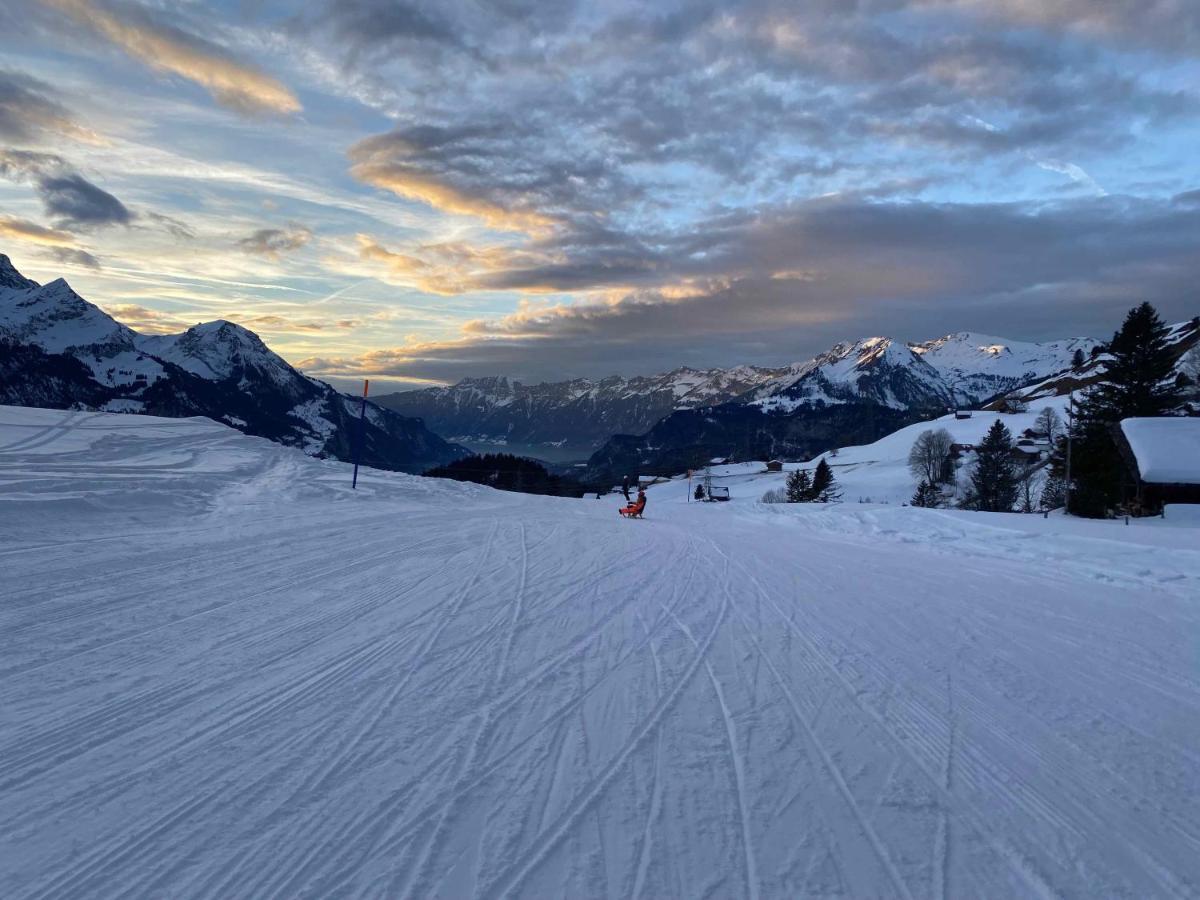 Spring Inn Apartments Meiringen Esterno foto