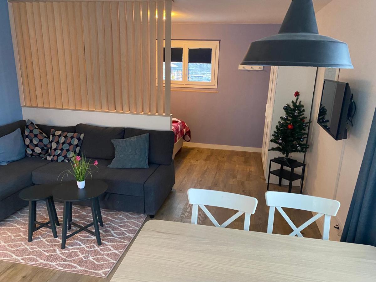 Spring Inn Apartments Meiringen Esterno foto